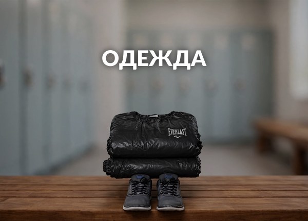 Одежда