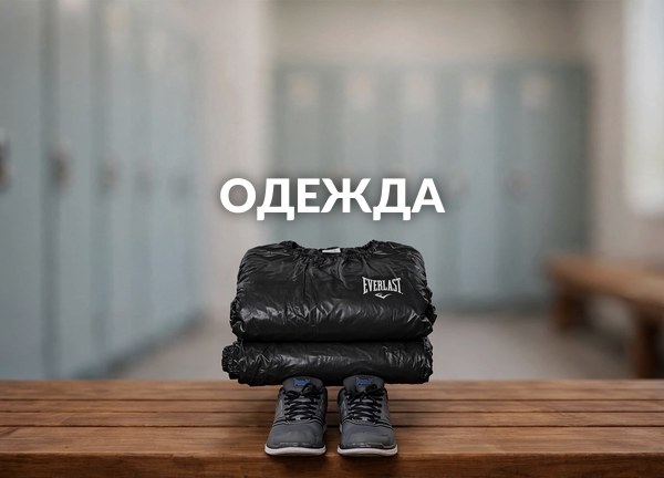 Одежда