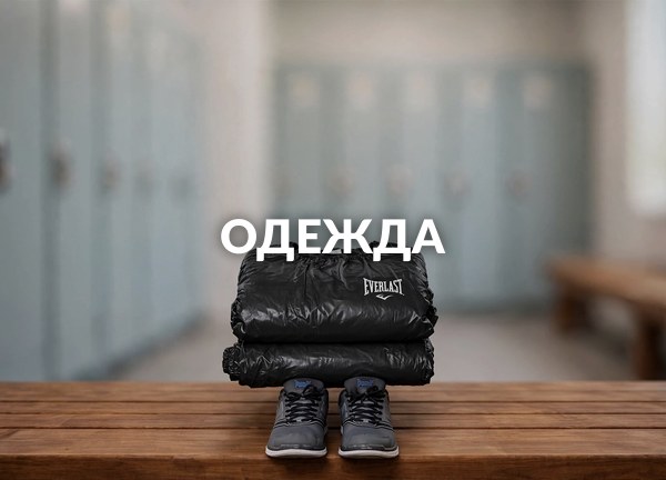 Одежда
